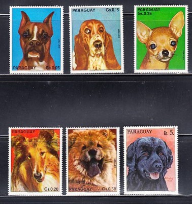 A12 S5 10 - Timbre foarte vechi - Paraguay - rase de caini foto