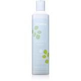 Echosline Balance sampon pentru curatare anti matreata 300 ml