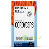 Cordyceps 800mg Pure Grade Extract Ecologic/Bio 60cps