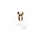 Bvlgari Splendida Patchouli Tentation EDP 50 ml