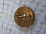 Insigna Academia Romana centenar