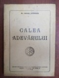 Calea adevarului-Mihail Stanescu