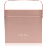 RIO Lush Box Vanity Case geanta de cosmetice 1 buc