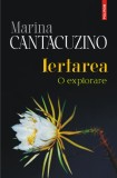 Iertarea. O explorare - Marina Cantacuzino - Polirom