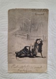 Carte postala circulata - Bucuresti 1903