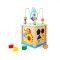 Cub educativ Montessori din lemn 5 in 1