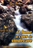 Cumpara ieftin O lume in curs de vindecare - 2006 - Ron Baker (Z286)