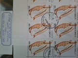 Sao Tome coli intregi, 1992, cota mare