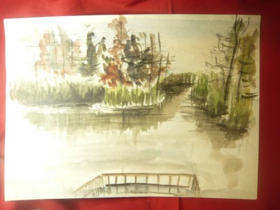 Acuarela -Peisaj lacustru , dim.= 41x30cm ,nesemnat foto