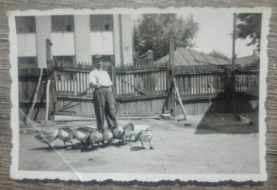 Scena din gospodarie// fotografie 1938 foto