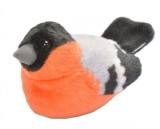 Pasare cu sunet Mugurar - BULLFINCH, Wild Republic