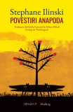 Povestiri anapoda - Stephane Ilinski - Vremea