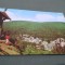 CARTE POSTALA SLANIC MOLDOVA CIRCULATA
