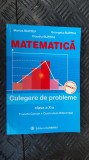 MATEMATICA CLASA A X A - TRUNCHI COMUN , CURRICULUM DIFERENTIAT BURTEA, Clasa 10