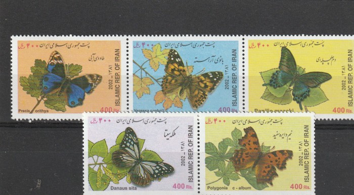 Fauna ,fluturi,Iran.