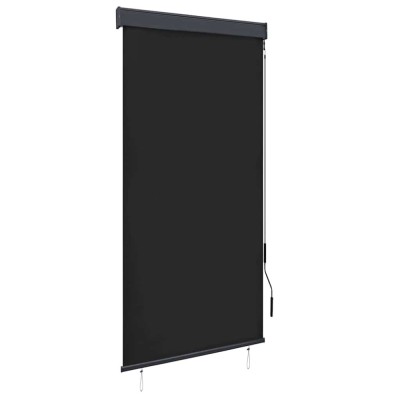 vidaXL Jaluzea tip rulou de exterior, antracit, 100 x 250 cm foto