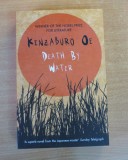 Death by Water - Kenzaburo Oe, 2016