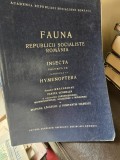 Fauna Republicii Socialiste Romania - Vol. IX Fascicula 11 - Insecta Hymenoptera - Matilda Lacatusu, Constantin Filipescu