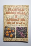 Plantele medicinale și aromatice de la A la Z &ndash; Aut. Ovidiu Bojor, Mircea Alexan, ed. a II-a, 1983