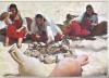 Bnk cp Tunisia - Femei in costume populare - circulata, Printata