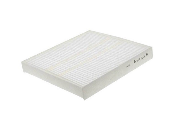 Filtru Habitaclu 152061 71924