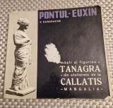 Masti si figurine tanagra din atelierele de la Calatis Mangalia V. Canarache