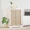 vidaXL Ușă de Dulap cu ușă 2 pcs natural 140.5 x 2.1 x 49.5 cm 42019255