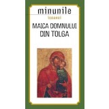Minunile icoanei Maica Domnului din Tolga - Sophia