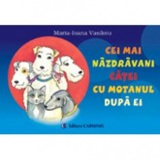 Cei mai nazdravani catei cu motanul dupa ei - Maria-Ioana Vasiloiu