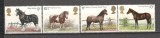 Anglia/Marea Britanie.1978 100 ani Societatea ptr. cai Shire GA.114