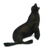 Leu de mare- collecta