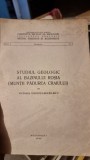 Studiul geologic al bazinului Rosia (muntii Padurea Craiului) - Victoria Todirita Mihailescu