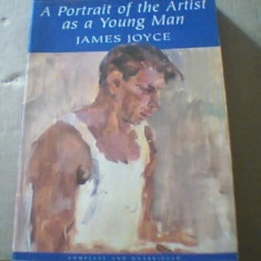 James Joyce - A PORTRAIT OF THE ARTIST AS A YOUNG MAN ( 2001 )