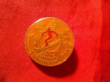 Insigna - Cupa Ziarului Steagul Rosu Brasov 1988 -La Schi , d= 2,5 cm ,metal si email