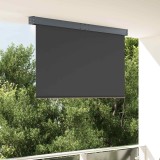 Cumpara ieftin Jaluzea tip rulou de exterior, antracit, 160 x 250 cm