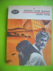 HOPCT ARIPI FRANTE /DJUBRAN KHALIL DJUBRAN-BPT 1989 -251 PAGINI
