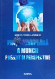 Cumpara ieftin PIATA EUROPEANA A MUNCII. Prezent si perspective - Sorin Andrei (@B195)