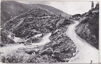 bnk cp Serpentine in valea Sadului spre cabana Gatul Berbecului - Vedere - circulata foto