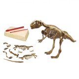 Set Excavare Fosile Dinozaur, Unelte Săpare și Perie, Asamblare Fosilă Completa, Multicolor