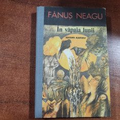 In vapaia lunii de Fanus Neagu