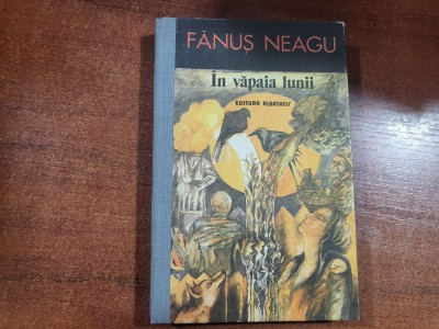 In vapaia lunii de Fanus Neagu foto