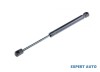 Telescop hayon Jaguar X-Type (2001-2009)[X400] #1