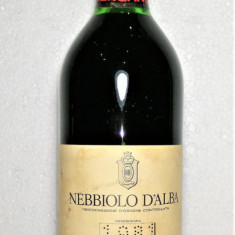 B 40 VIN ROSU NEBBIOLO D'ALBA, DOC, BERSANO, RECOLTARE 1981 CL 75 GR12,5