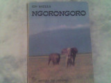 Ngorongoro-un album cu animale salbatice din cea mai mare rezervatie a lumii
