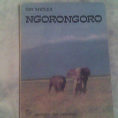 Ngorongoro-un album cu animale salbatice din cea mai mare rezervatie a lumii