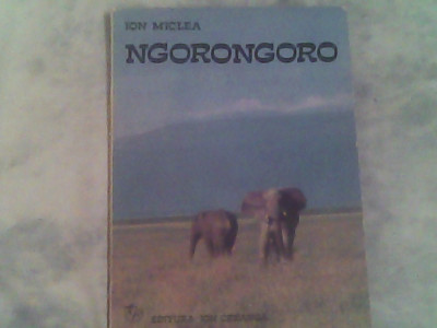 Ngorongoro-un album cu animale salbatice din cea mai mare rezervatie a lumii foto