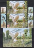 Jersey 2001 - Păsări de pradă, Serie + 3 Colite (vezi descrierea), MNH
