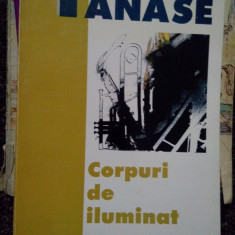 Stelian Tanase - Corpuri de iluminat (1998)