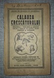 Calauza Crescatorului G. Hortopan - Zootehnie Apicultura (lipsa cotor)