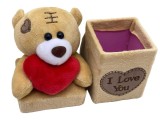 Ursulet de plus bej cu mesaj &quot;I Love You&quot; si cutie